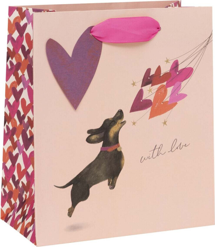 Gavepose Medium Sausage Dog Balloons