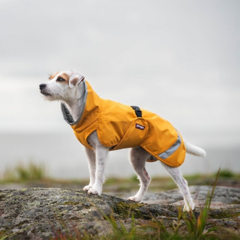 Pomppa Perus Vinterdekken Hund Gul (65 cm)