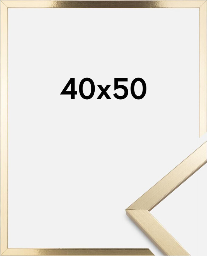 Ramme Trendy Akrylglass Gull 40x50 Cm