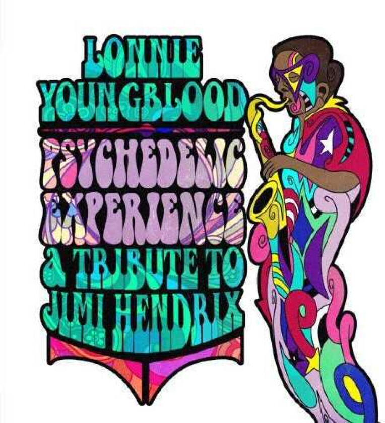 Jimi Hendrix Psychedelic Experience: Tribute To Jimi Hendrix CD