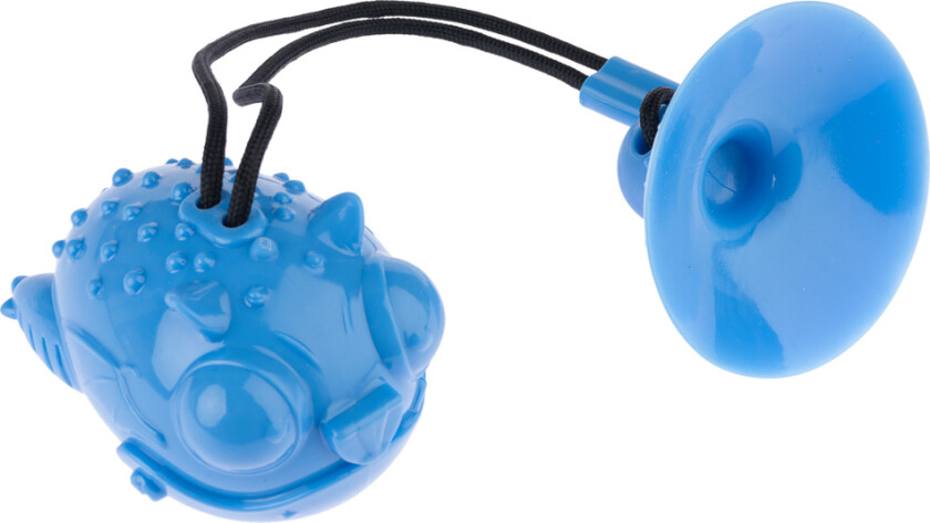 intelligensleke drage med sugekopp - L 12 x B 9 x H 8 cm