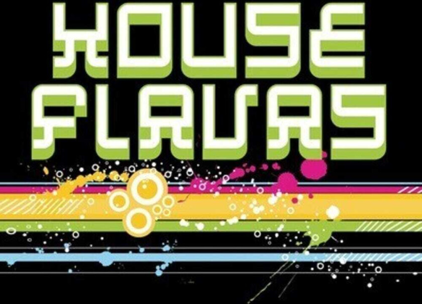 Diverse Artister House Flavas / Var CD