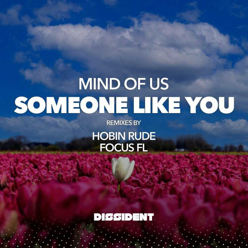 Mind Of Us Someone Like You (streaming Version) CD