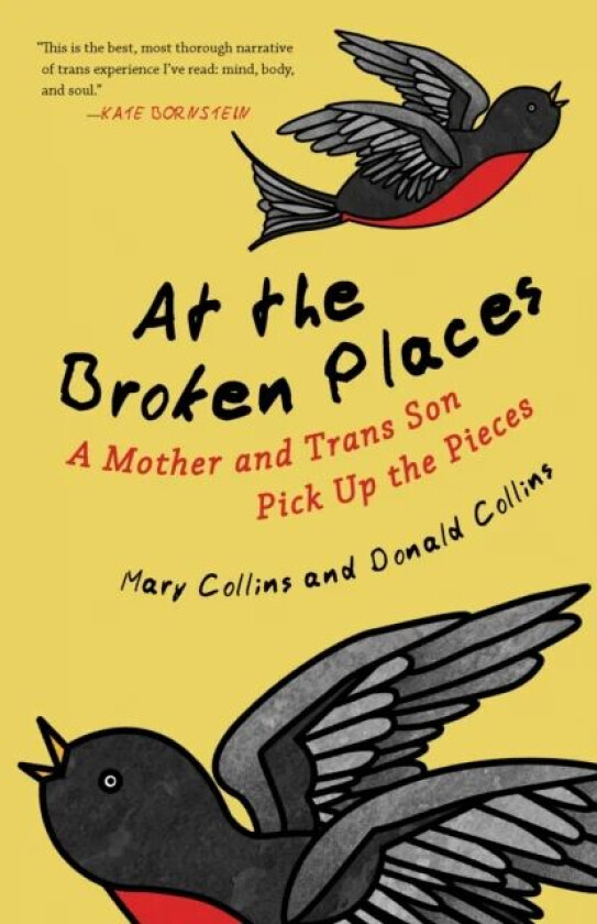 At the Broken Places av Mary Collins, Donald Collins