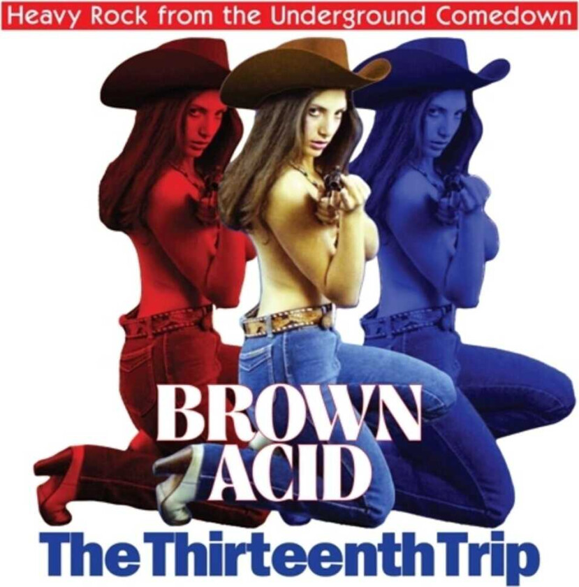 Diverse Artister Brown Acid The Thirteenth Trip CD