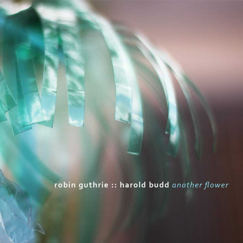 Robin Guthrie, Harold Budd Another Flower CD