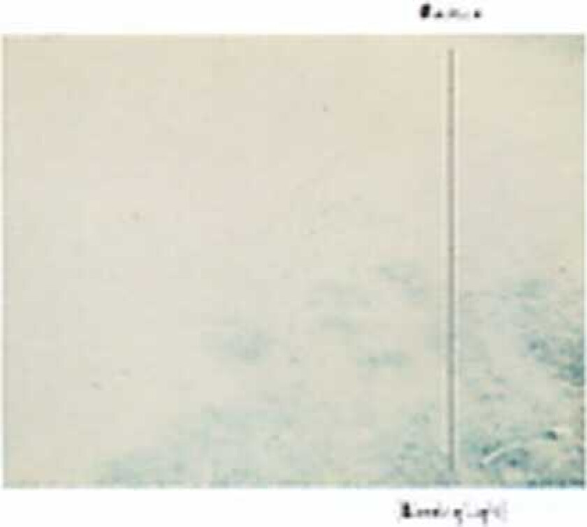 Aarktica Bleeding Light CD