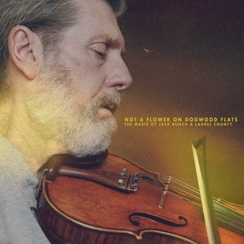 Jack Bunch Not A Flower On Dogwood Flats: Music Of Jack Bunch CD
