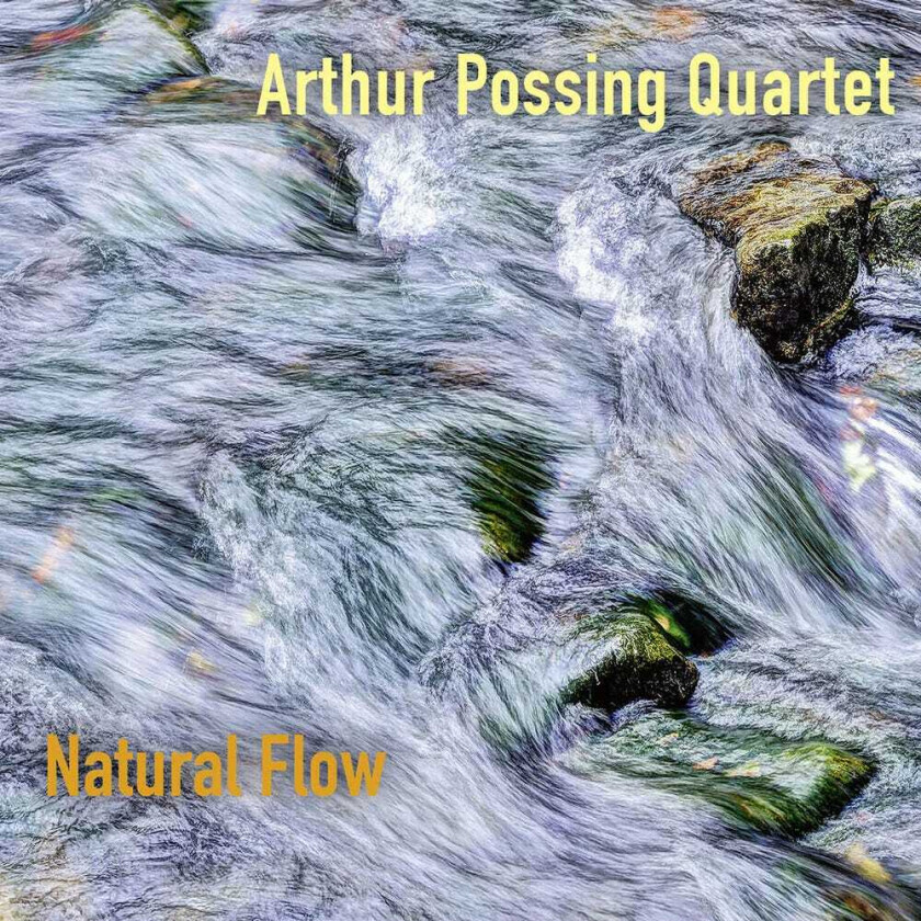 Arthur Possing Quartet Natural Flow CD
