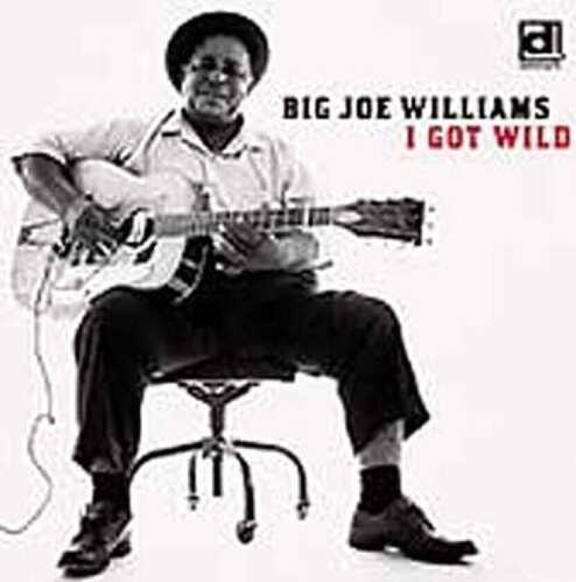 Big Joe Williams I Got Wild CD
