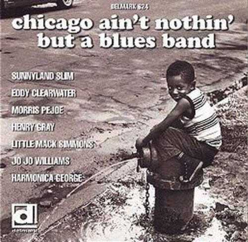 Diverse Artister Chicago Ain't Nothin But A Blues Band CD