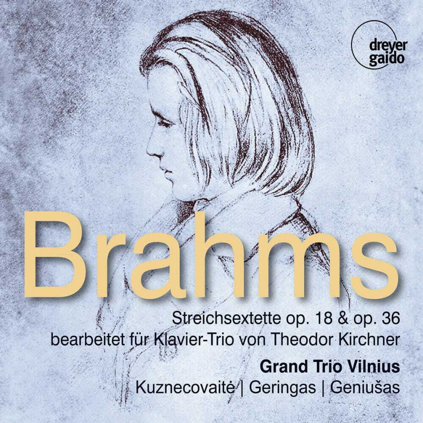 Grand Trio Vilnius, Theodor Kirchner String Sextets Opp. 18 & 36 Arr. For Piano By CD