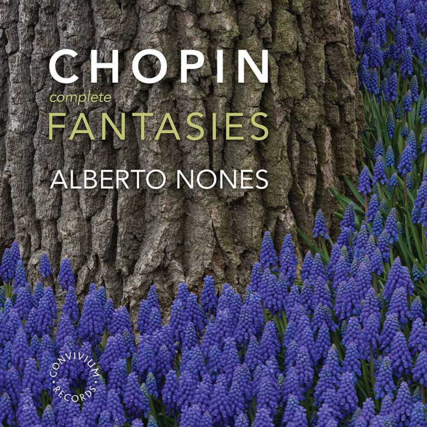 Alberto Nones Complete Fantasies CD