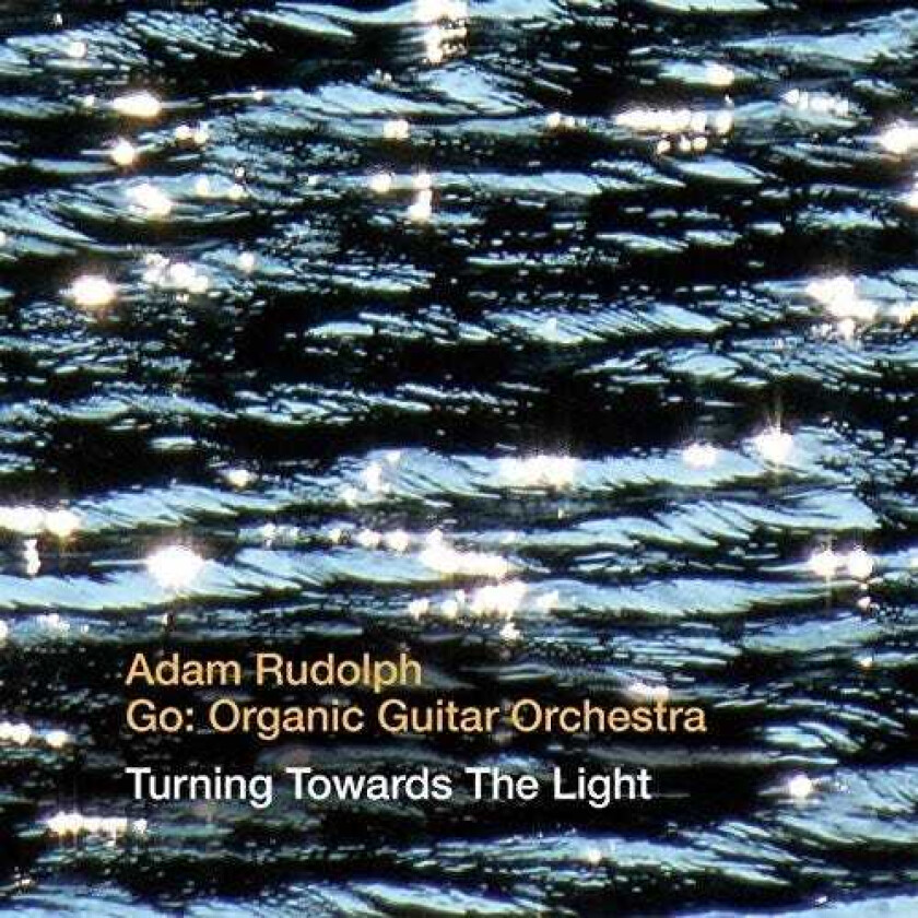 Adam Rudolph Turning Towards The Light CD