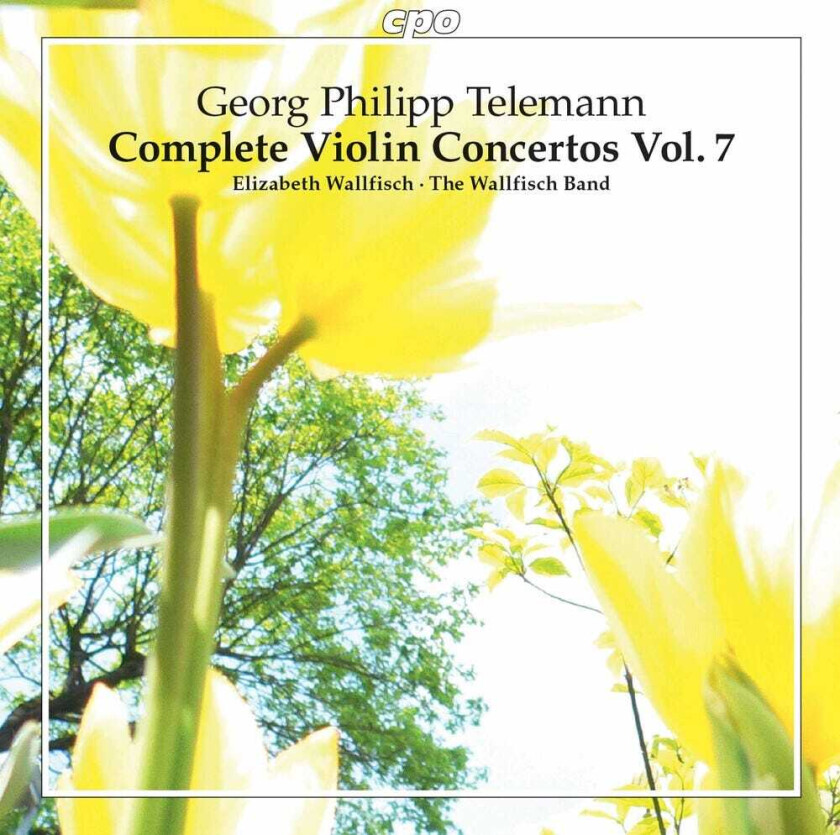 The Wallfisch Band Complete Violin Concertos 7 CD