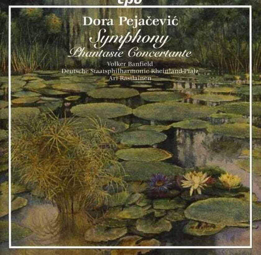 Ari Rasilainen, Volker Banfield Symphony / Phantasie Concertante CD