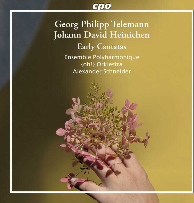 Ensemble Polyharmonique, Johann David Heinichen Early Cantatas CD