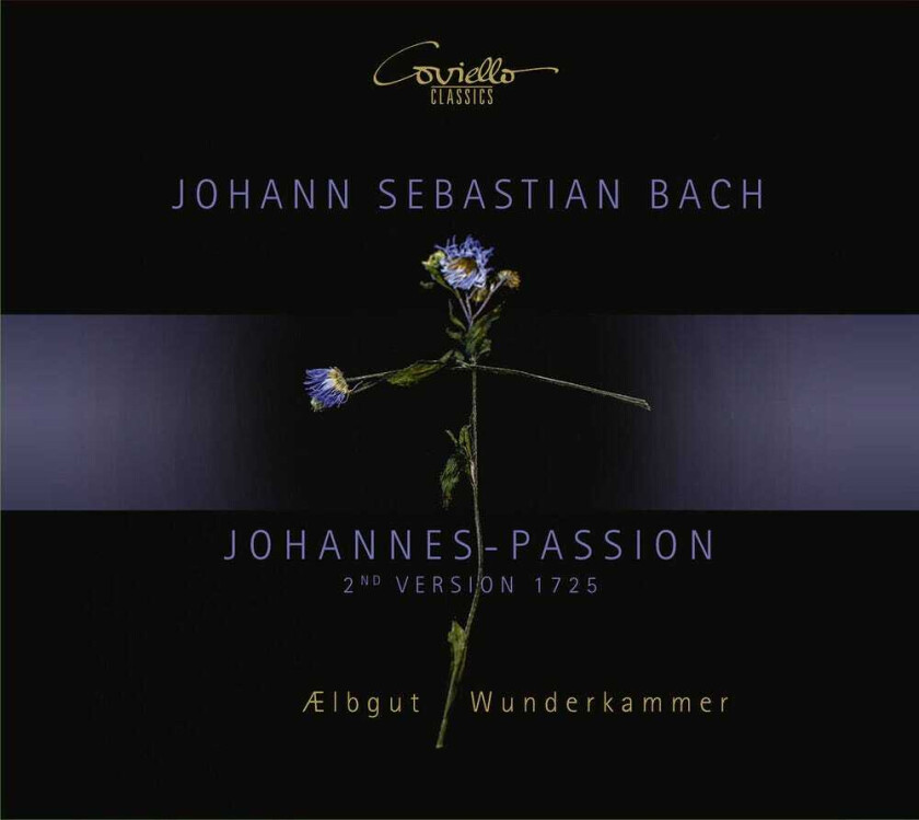 Aelbgut Wunderkammer Passion CD