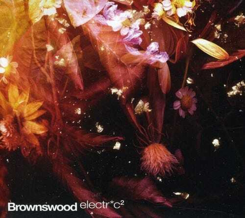 Diverse Artister Brownswood Electric 2 CD