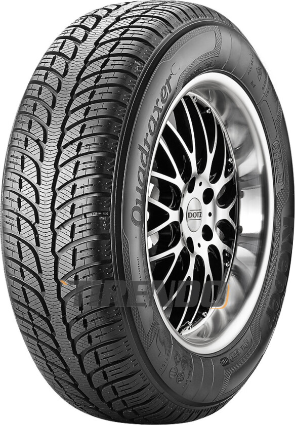 Quadraxer ( 175/65 R15 84H )