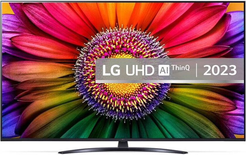55" 4K TV - 55UR81006LJ