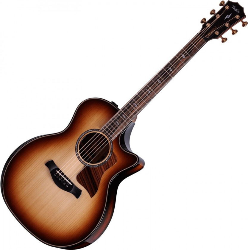 Taylor Builders Edition 814ce Electro Acoustic Adirondack