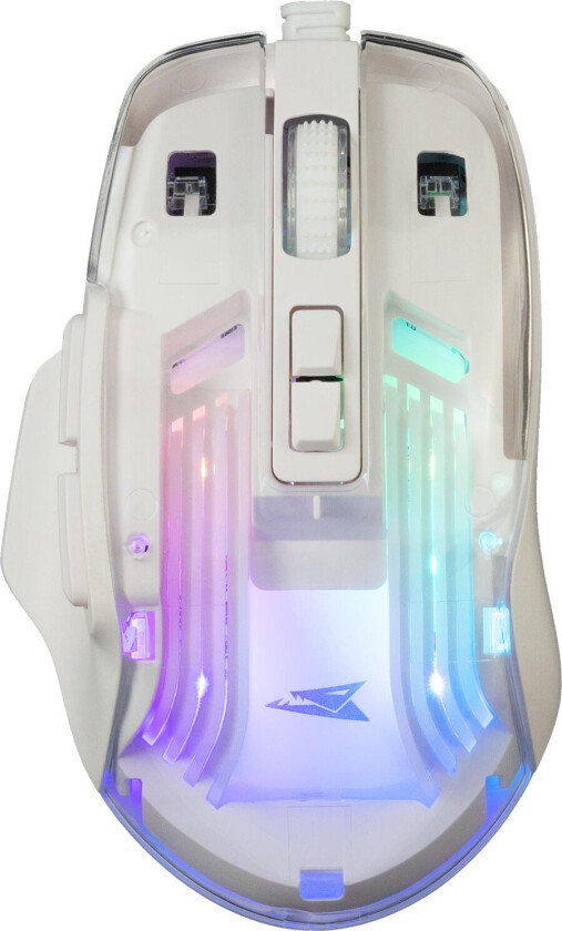 Baracuda BGM-062 Mus breiflabb Hvit
