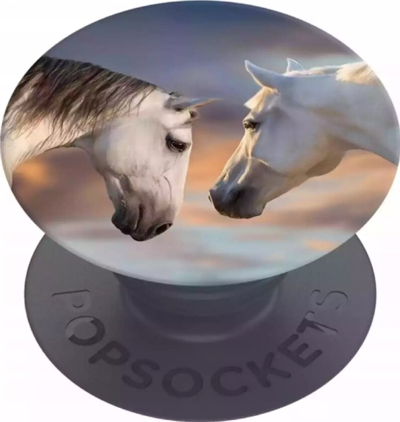 Popsockets Stativ Popsocket Fingertelefonholder Popsockets Hester Standard