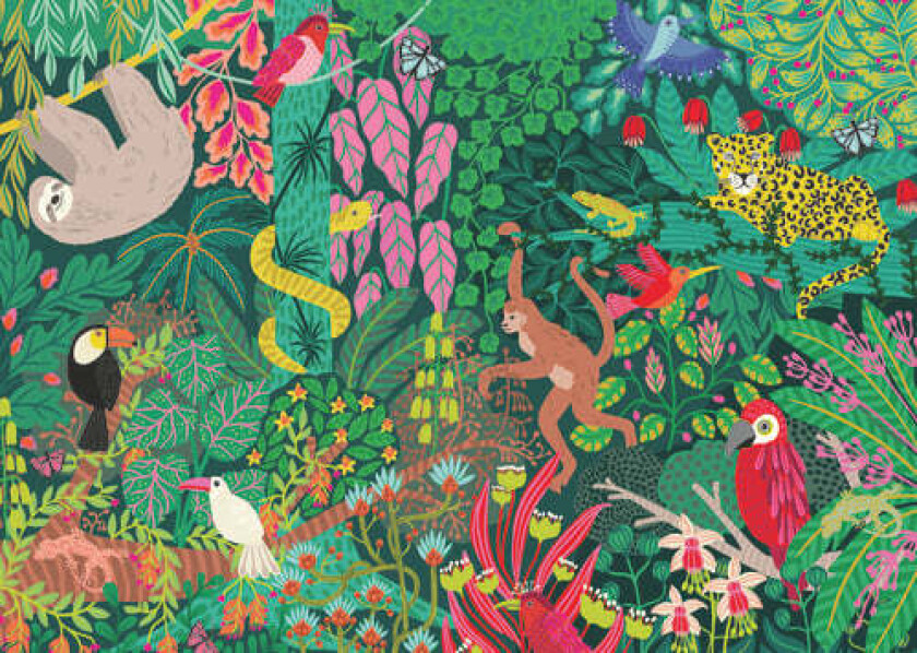 Magical Rain Forest - 1000p (12001432)