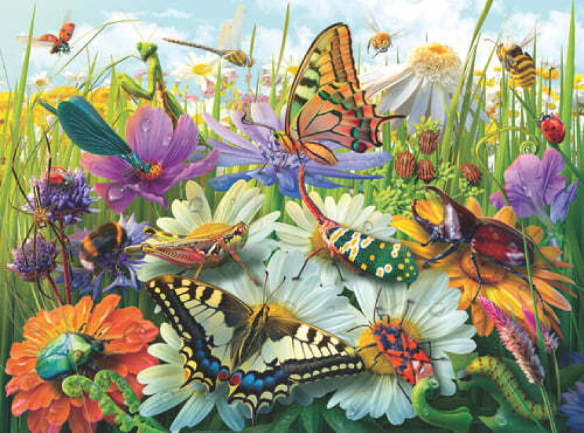Wonderful World Of Insects - 100p (12004049)