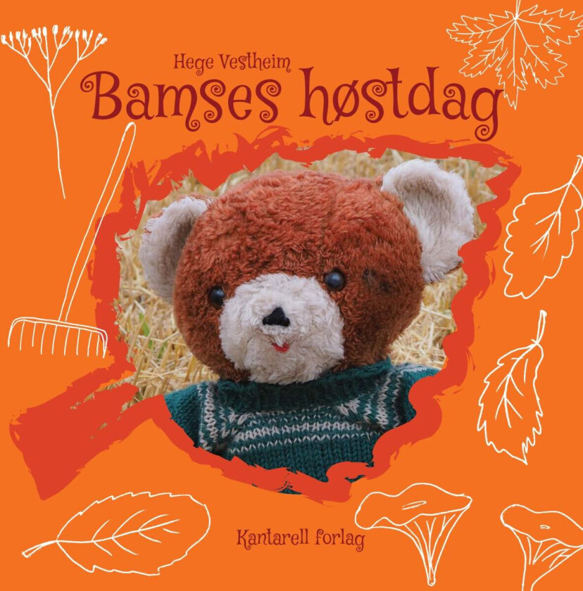 Bamses høstdag av Hege Vestheim