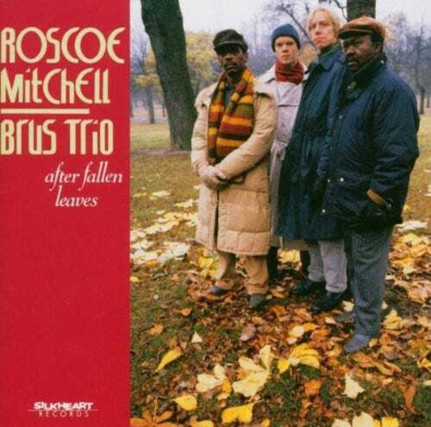 Roscoe Mitchell After Fallen Leaves CD