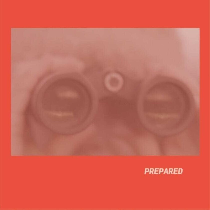Laura Martin J Prepared CD