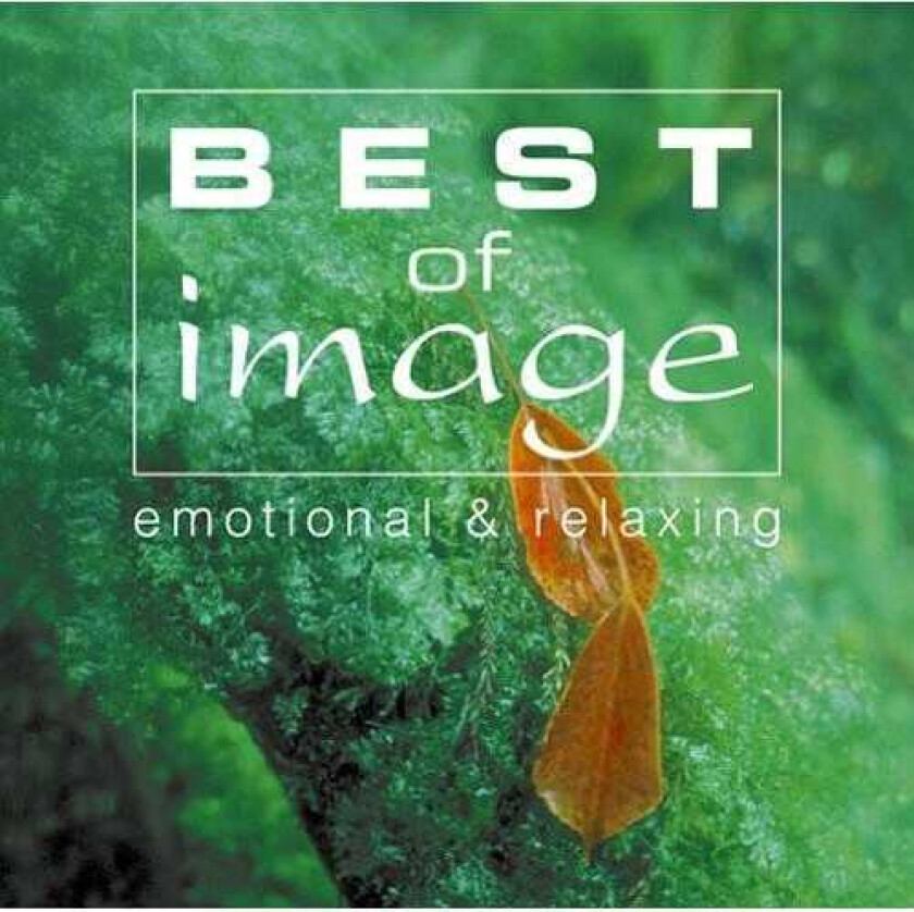 Diverse Artister Best Of Image CD