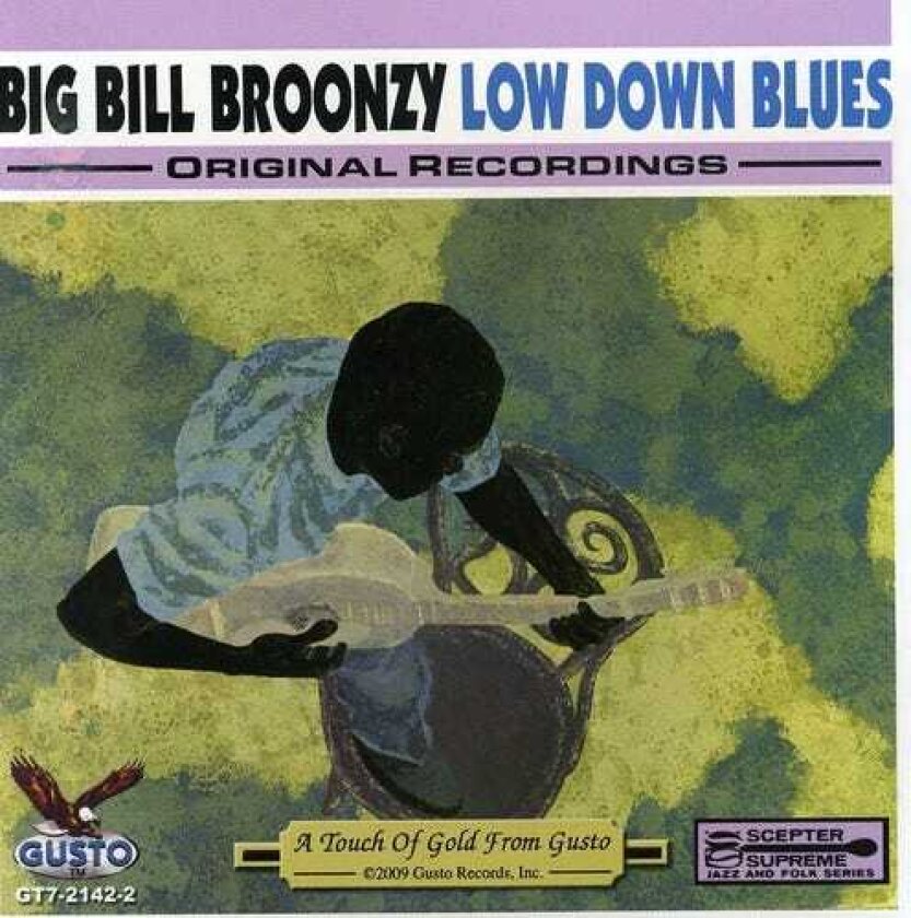 Big Bill Broonzy Low Down Blues CD