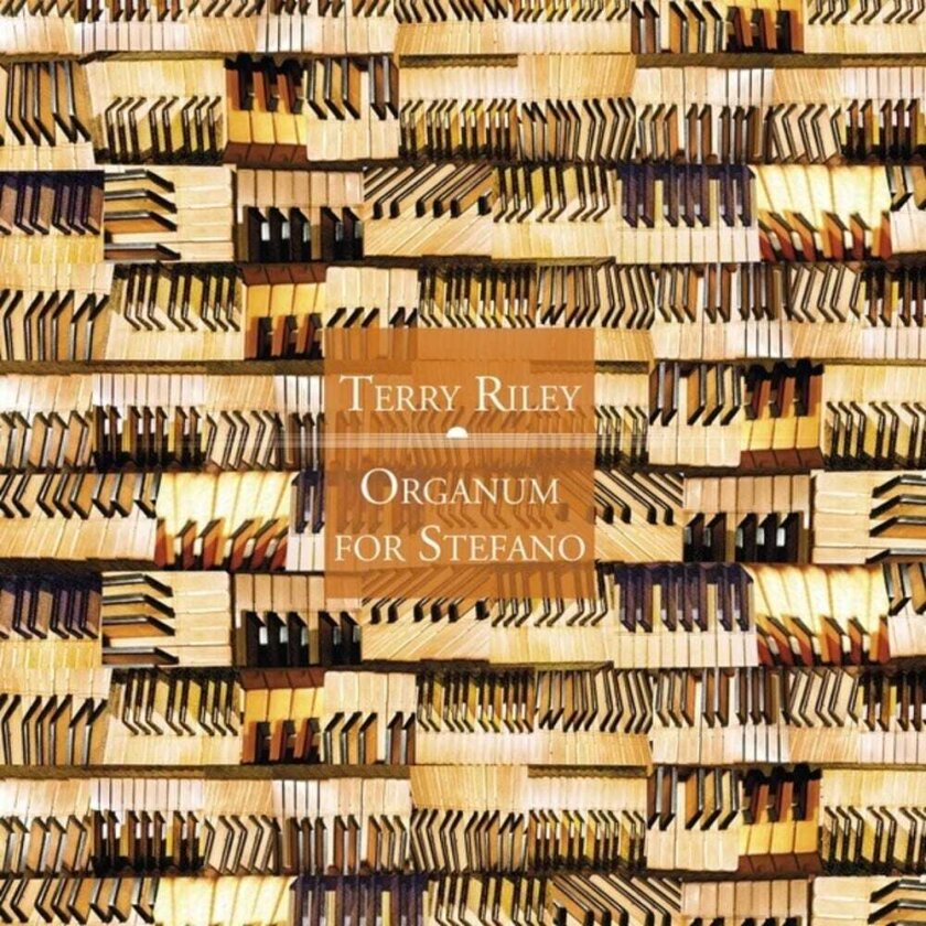 Terry Riley Organum For Stefano CD