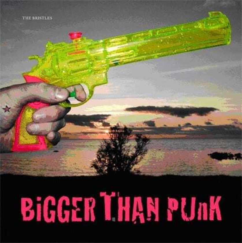 The Bristles Bigger Than Punk CD