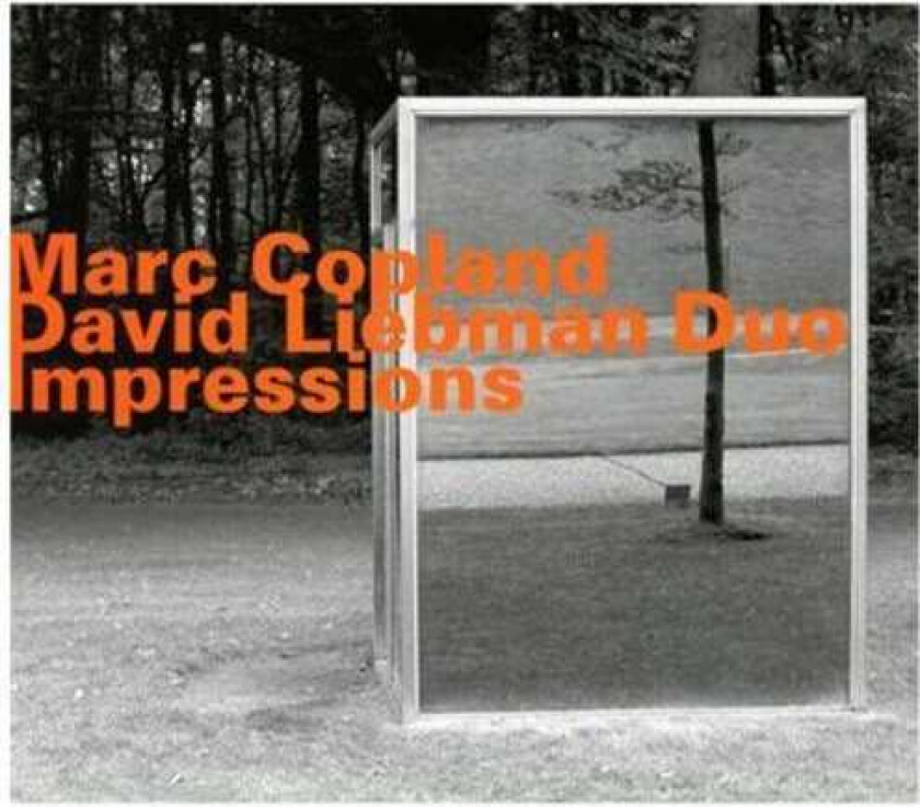 Marc Copland, David Liebman Impressions CD