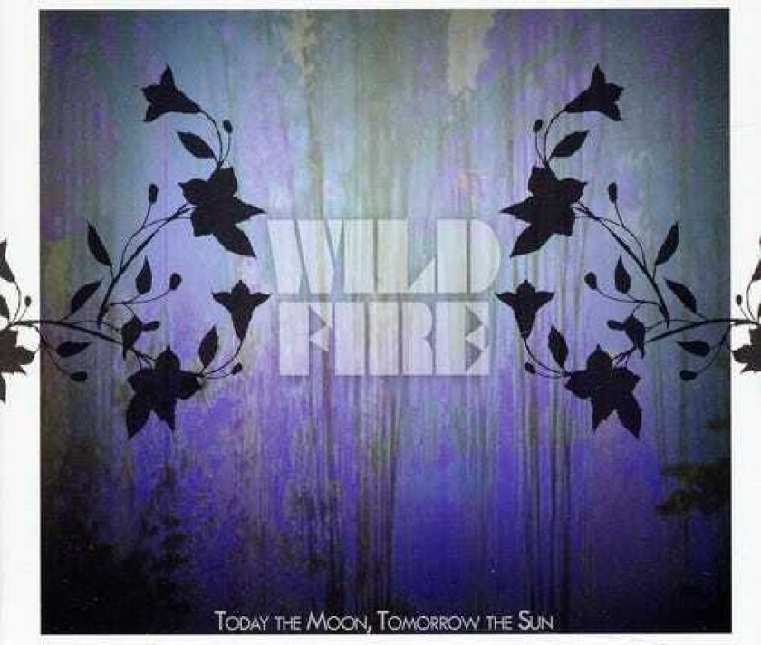 Tomorrow The Sun Today The Moon Wildfire CD