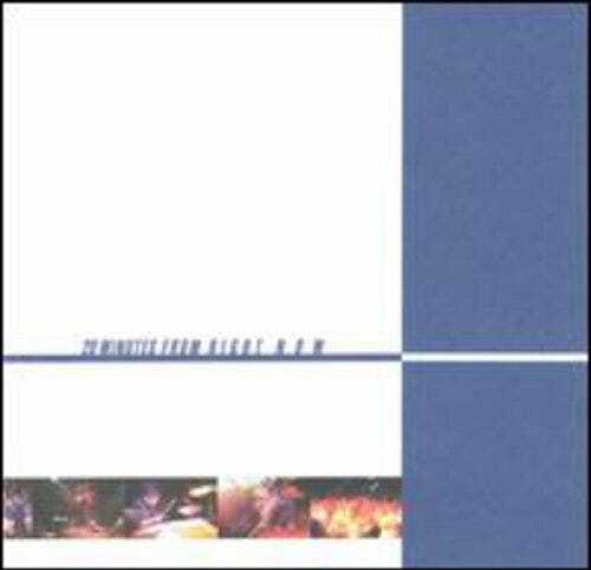 Animal Chin 20 Minutes From Right Now CD