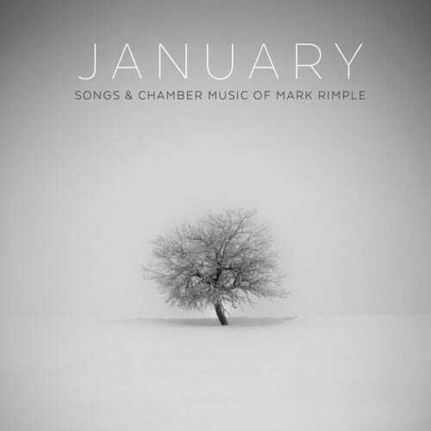 Mark Rimple, Carl Cranner, Drew Minter January CD