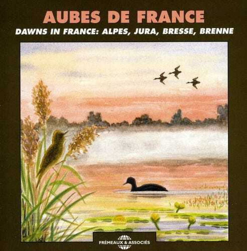 The Sounds Dawns In France CD