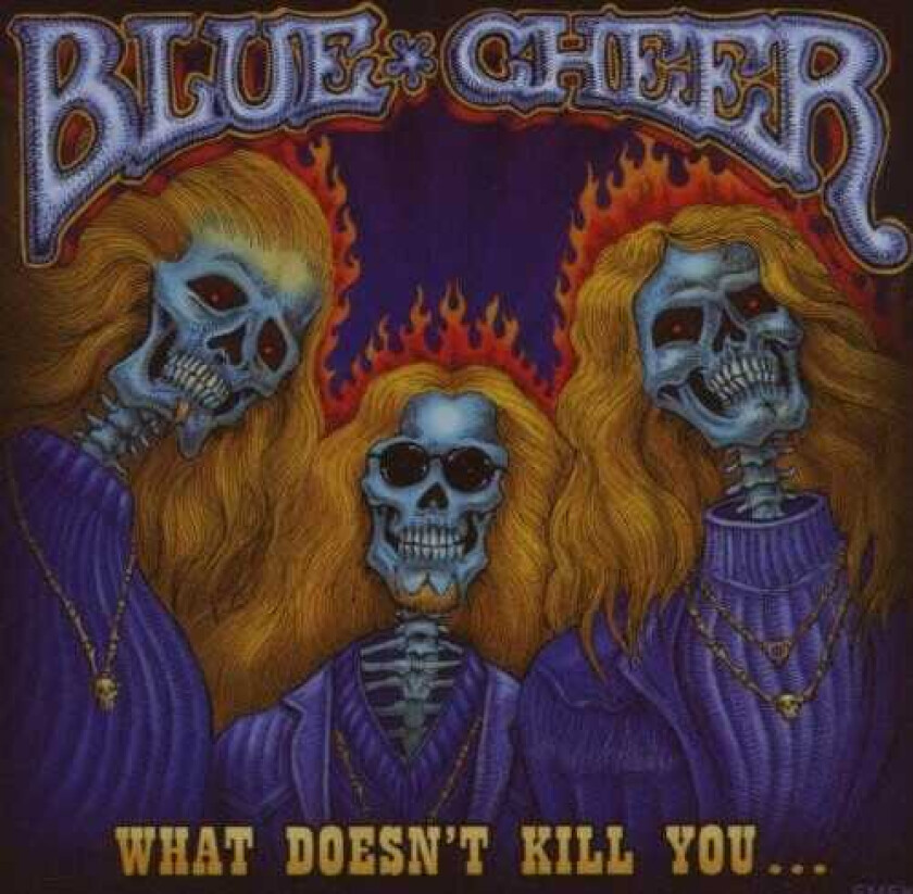 Blue Cheer What Doesn't Kill CD