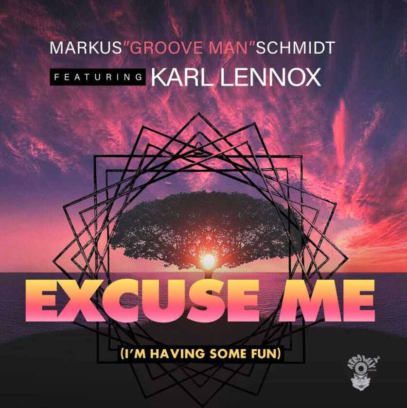 Markus Schmidt Excuse Me (i'm Having Some Fun) CD