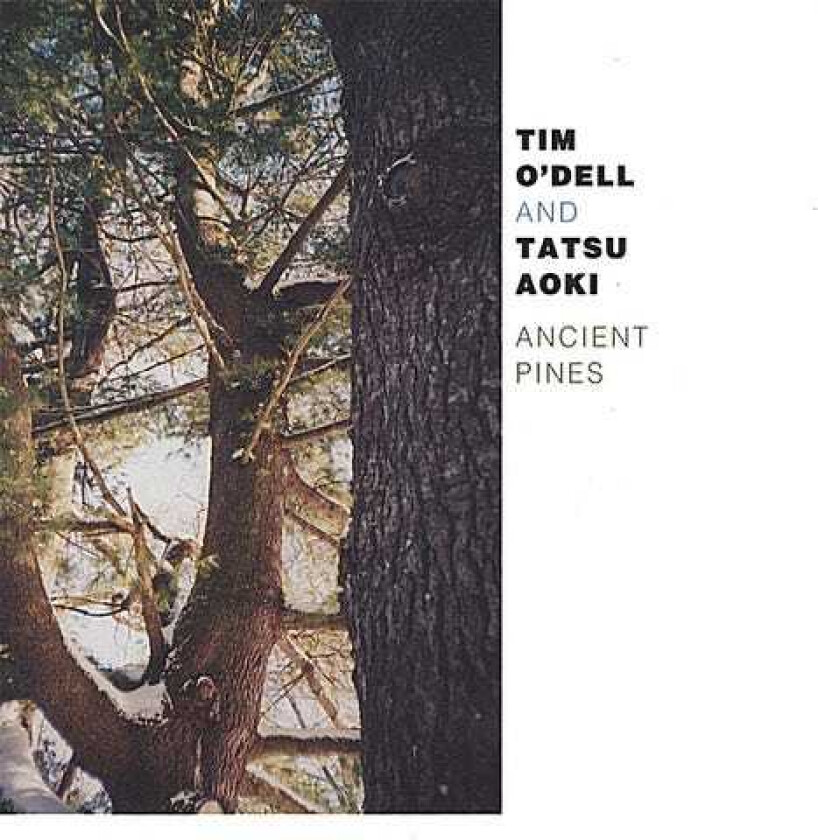 Tim O'dell Ancient Pines CD