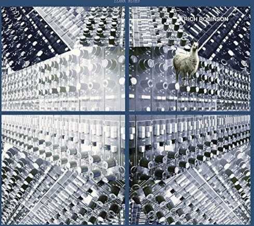 Rich Robinson Llama Blues CD