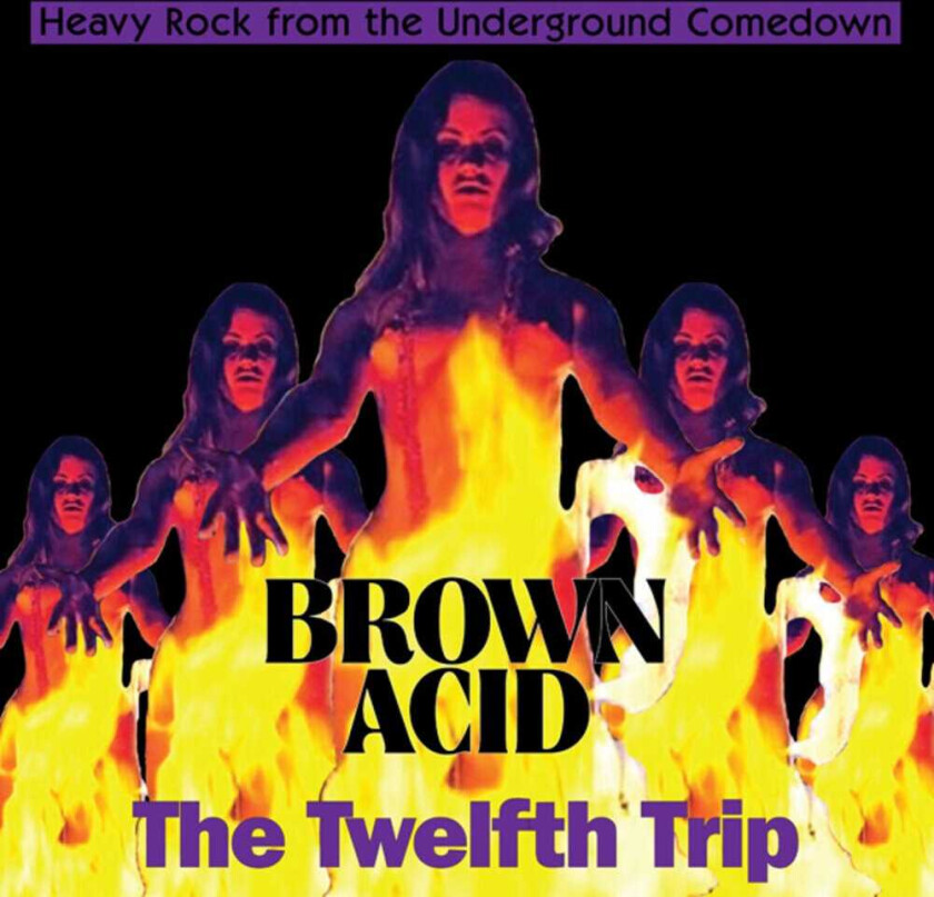 Diverse Artister Brown Acid The Twelfth Trip CD