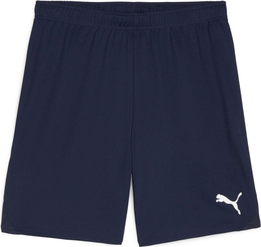 teamGOAL Shorts, fotballshorts, herre Navy-White