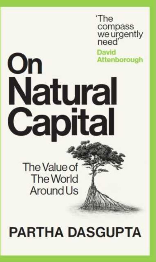 On Natural Capital The Value of the World Around Us