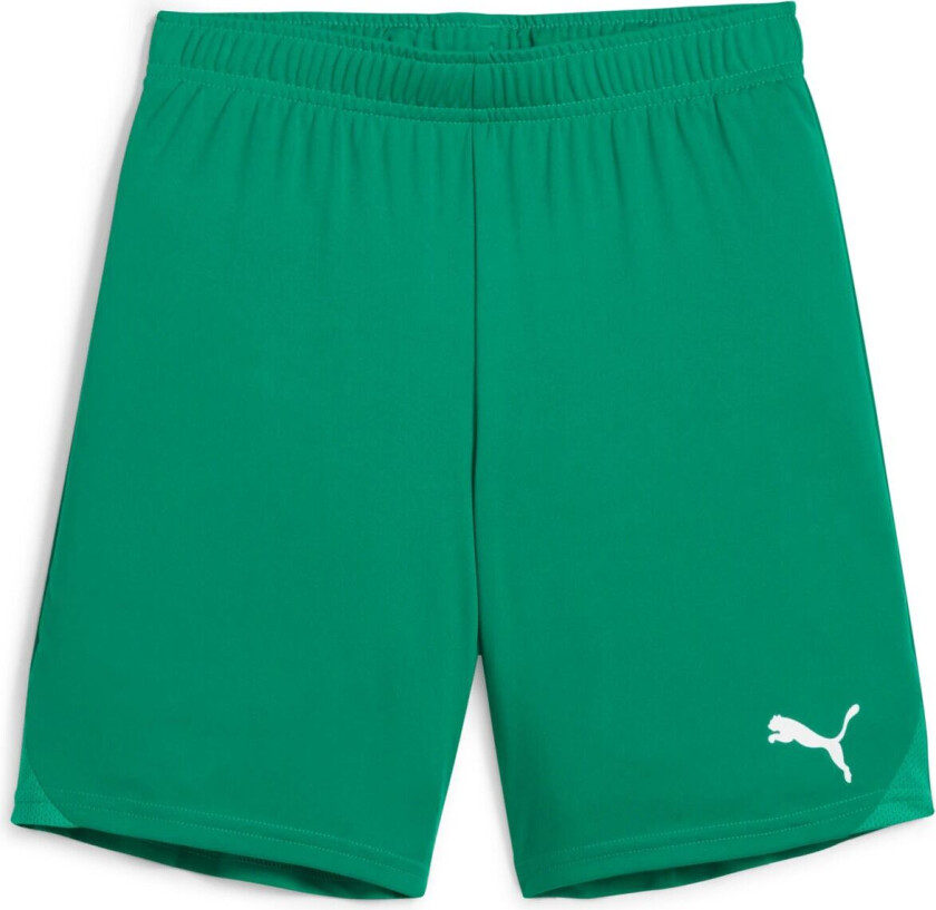 teamGOAL Shorts, fotballshorts, junior Sport Green-White